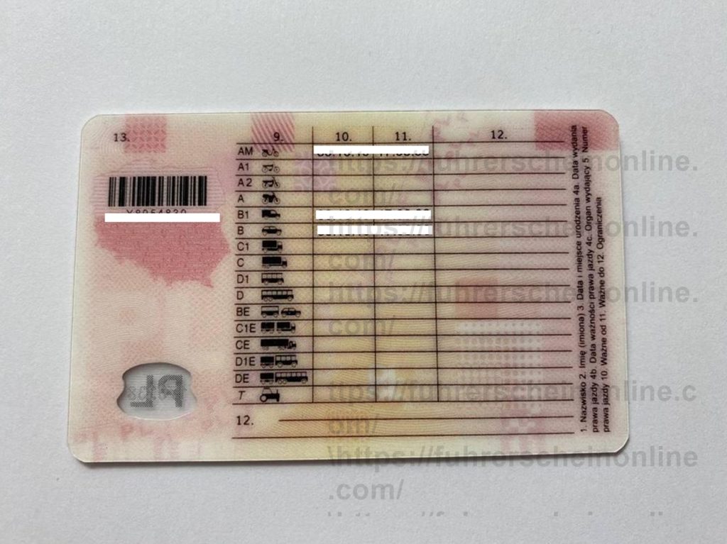 buy polish drivers license